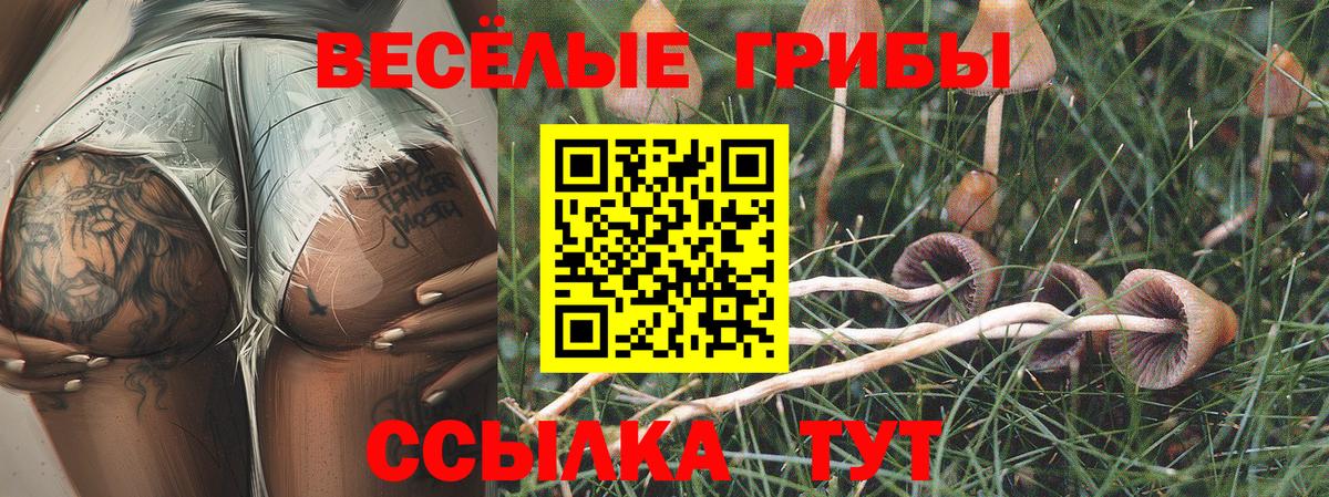 Псилоцибиновые грибы прущие грибы Приморско-Ахтарск