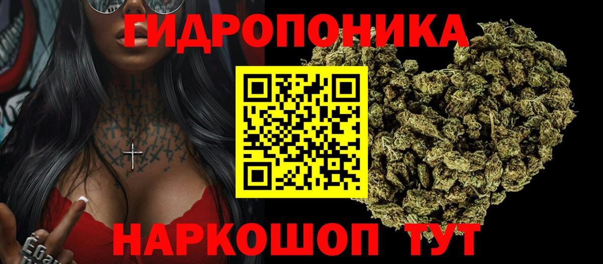 Шишки марихуана AK-47  Бошки Шишки планчик  Приморско-Ахтарск  Каннабис OG Kush  Вход с VPN  Шишки марихуана OG Kush 